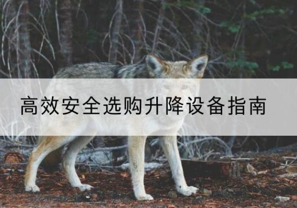 郴州升降货梯厂家推荐-*安全选购升降设备指南