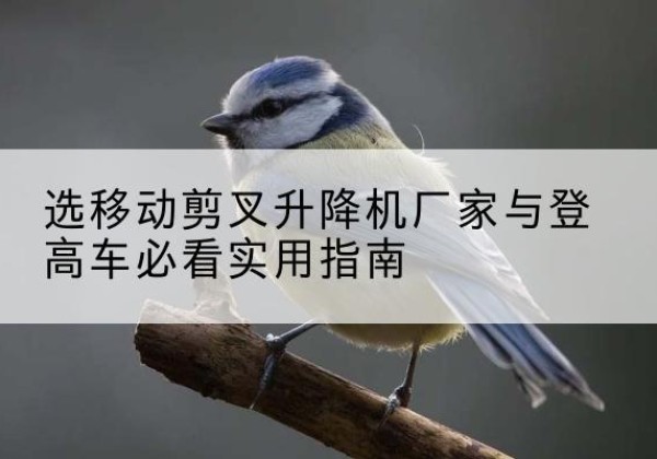 郴州电动升降机厂家-选移动剪叉升降机厂家与登高车必看实用指南
