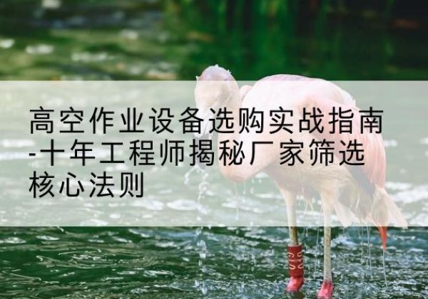 郴州剪叉式升降机厂家-高空作业设备选购实战指南-十年工程师揭秘厂家筛选核心法则
